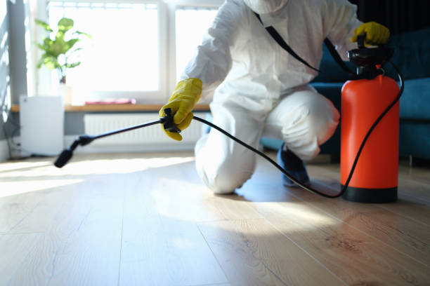 Reliable Blood Cleanup contractor in Forest Knolls, CA by Trauma Clean Pros